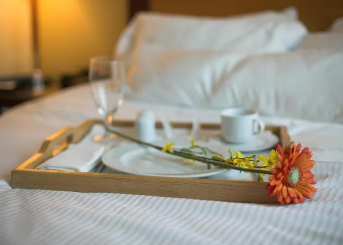 The Yucatan Tapestry Hotel Playa del Carmen
